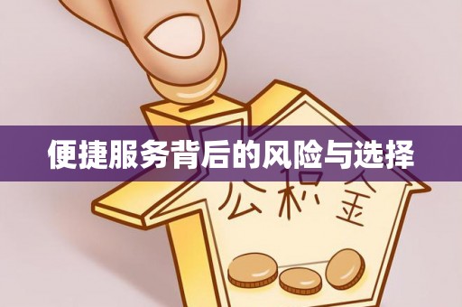 宾县便捷服务背后的风险与选择