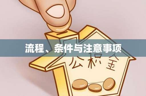 宾县流程、条件与注意事项
